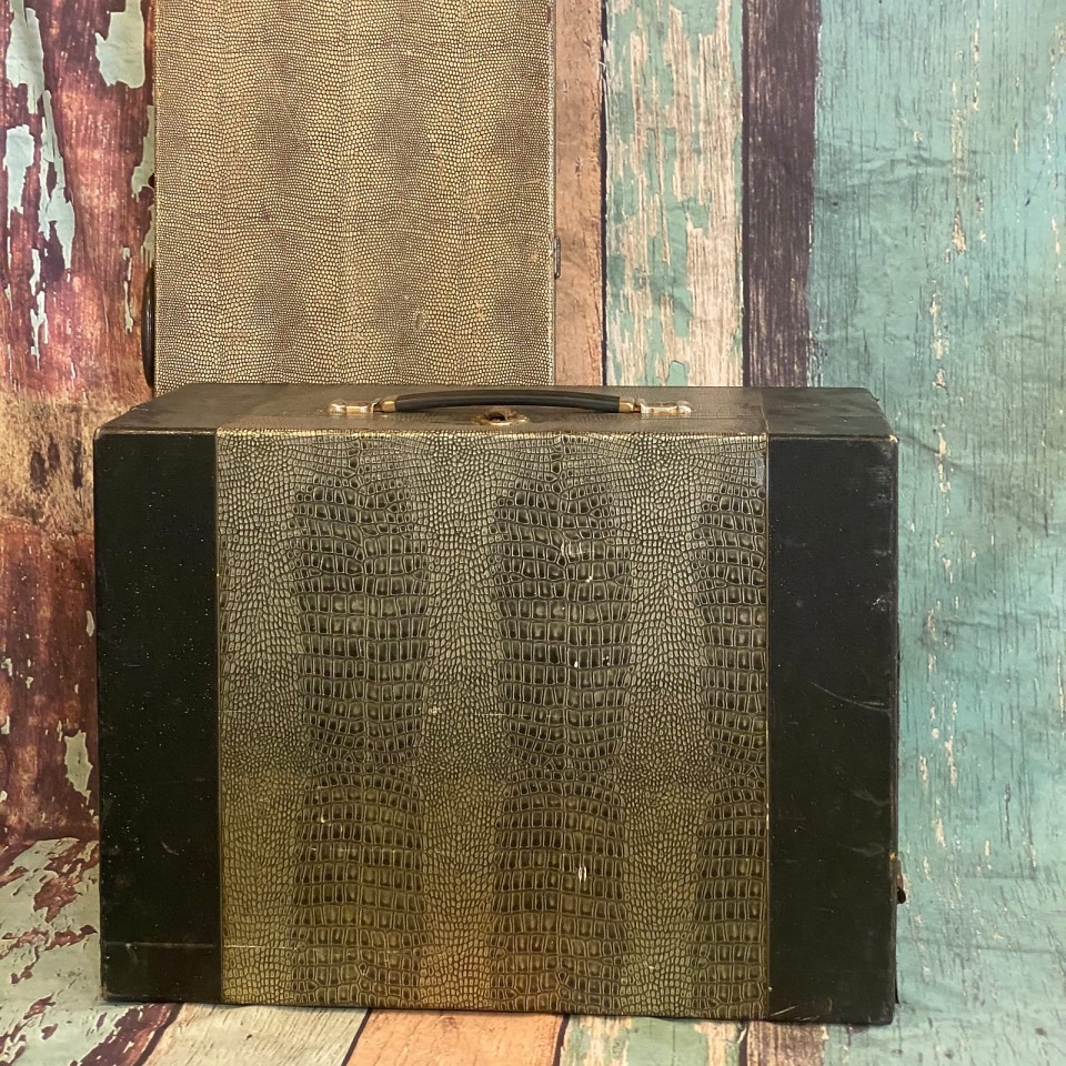 Early to Mid 1960s Selmer faux croc skin Accordian Amp